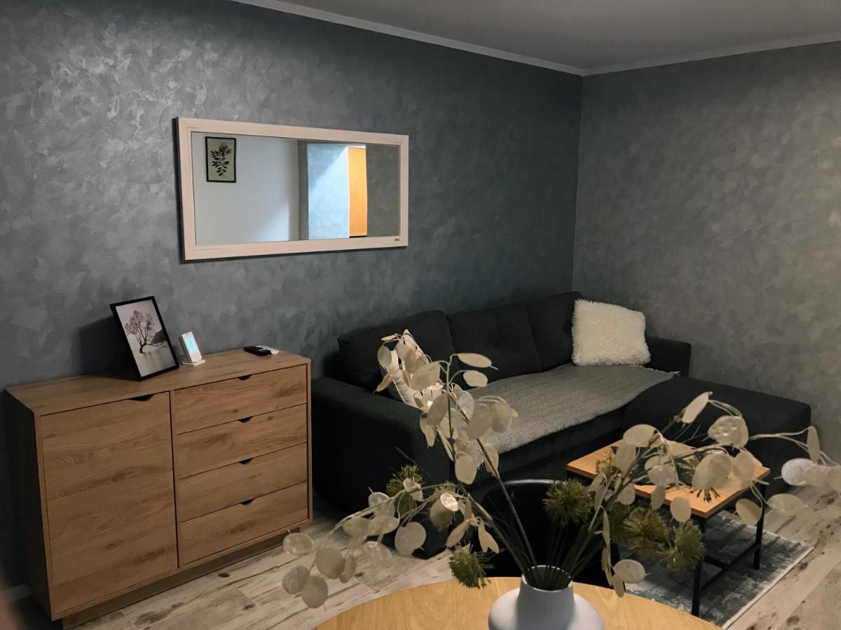 Homely Apartment Suceava Exterior foto